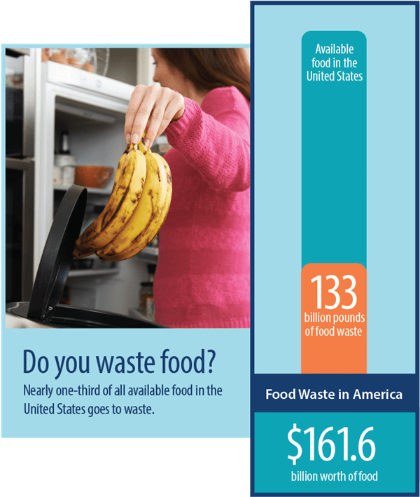 Food waste graphic